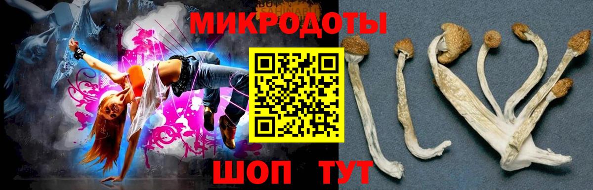 Галлюциногенные грибы Magic Shrooms Коломна